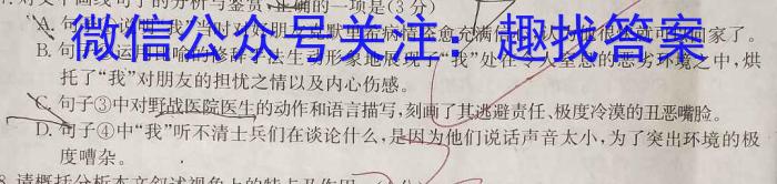 安徽省十联考 合肥一中2023~2024学年度高二下学期期末联考语文