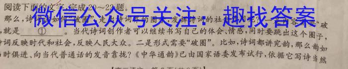 2023年陕西省九年级教学质量检测(三角)语文