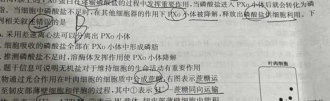 2024年河南省普通高中招生考试模拟试卷(信息卷二)生物