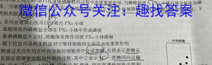 贵州省贵阳市普通中学2023-2024学年度第一学期九年级期末监测试卷数学