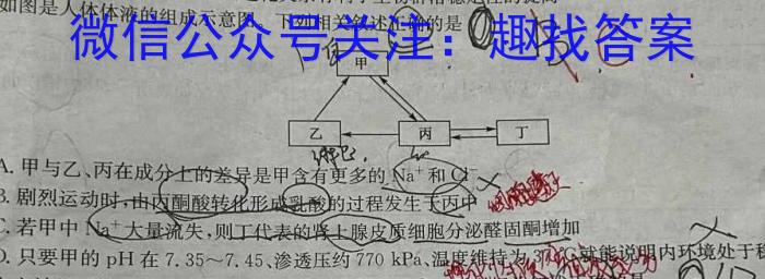 2024年河南省普通高中招生考试终极C卷数学