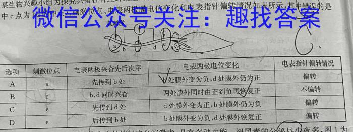 2024年河南省普通高中招生考试模拟试卷（一）生物学试题答案