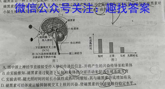 名校教研联盟2025届高考模拟试题训练(样卷)生物学试题答案