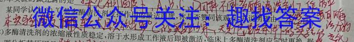 广西省2024届“贵百河”4月高三质量调研联考试题数学h