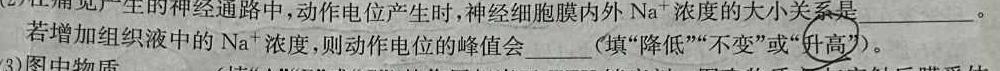 安徽省桐城市2023-2024学年度第二学期七年级期末质量检测试题生物