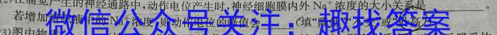 安徽省2023-2024学年下学期八年级卷三数学