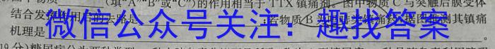 2024年河北省中考模拟试题数学