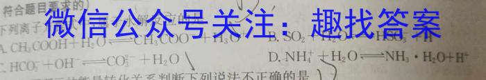 安徽省金安24届高三年级考前适应性考试(24-452C)数学