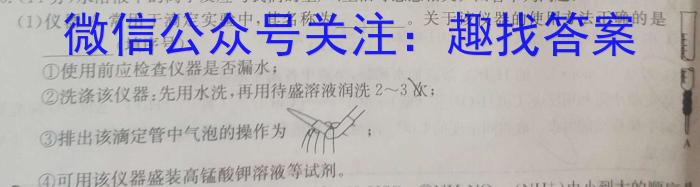 2024届江西省宜春名校联盟九年级综合检测一(CZ124c)化学