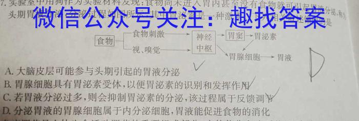 安徽省蚌埠市怀远县2023-2024学年第二学期七年级期中试卷数学