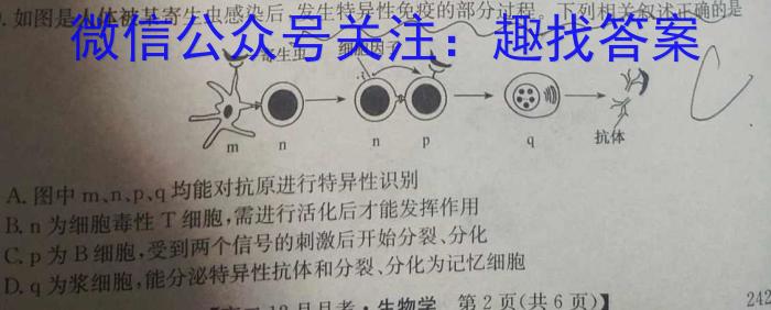 2024届普通高校招生全国统一考试仿真模拟·全国卷 BBY-F(五)5生物学试题答案