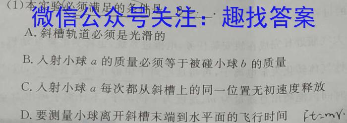 陕西省2024年普通高等学校招生全国统一考试仿真模拟试题物理`