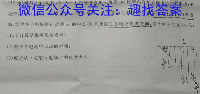 天一大联考 2024届安徽省普通高中高三春季阶段性检测物理