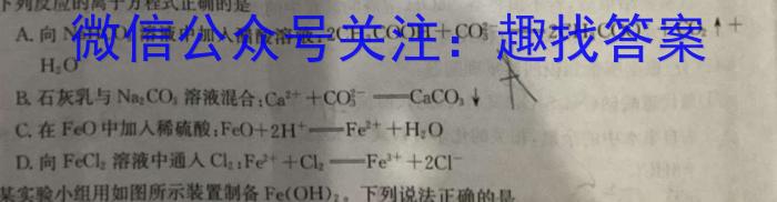 2024届燕博园高三综合能力测试(CAT)广东卷(2024-3月)化学