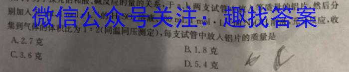 广东省2024-2025学年深圳市深圳中学新初一分班考试化学