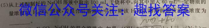 2024年湖南省十三市州初中毕业学业考试调研作业（一）化学