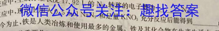 安徽省淮三角联盟2024年春季学期八年级教学检测评价（5月）化学