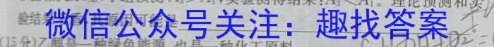 3安徽省2023-2024学年度第一学期九年级期末质量检测试卷(TH)化学试题