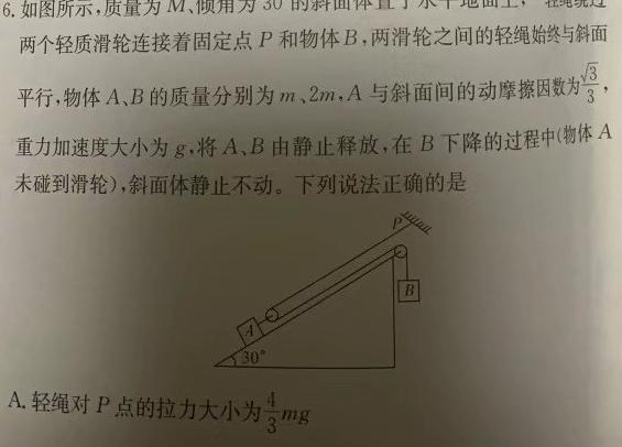 成都石室中学2023~2024学年度下期高2025届零诊模拟考试(物理)试卷答案