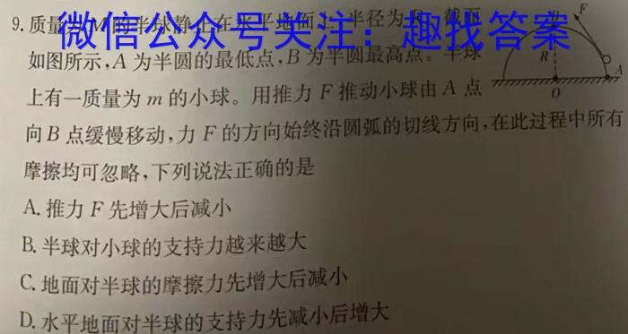 安徽省霍邱县2023-2024学年度九年级第二次模拟考试物理`