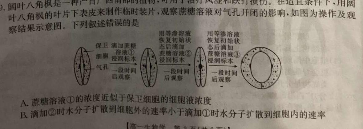 安徽省2024年九年级万友名校大联考试卷二生物