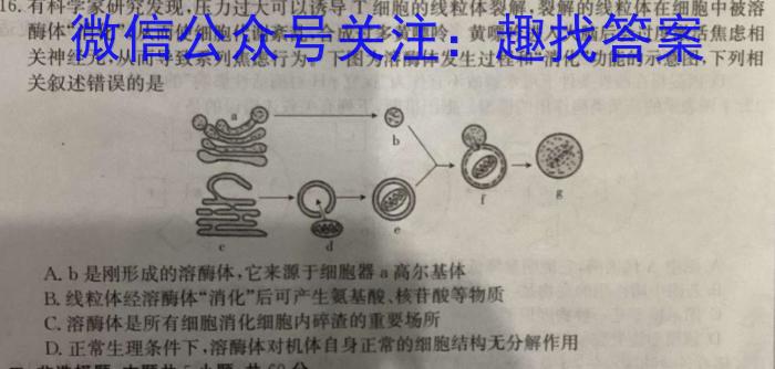 [三省三校三模]东北三省2024年高三第二次联合模拟考试英语