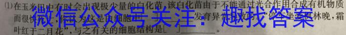 2024年广东高考精典模拟信息卷(三)3数学