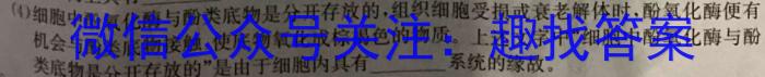 江西省2024年初中学业水平考试模拟（四）生物学试题答案