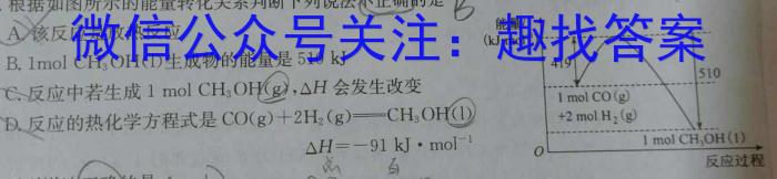 【精品】浙江省培优联盟高二2024年5月联考化学