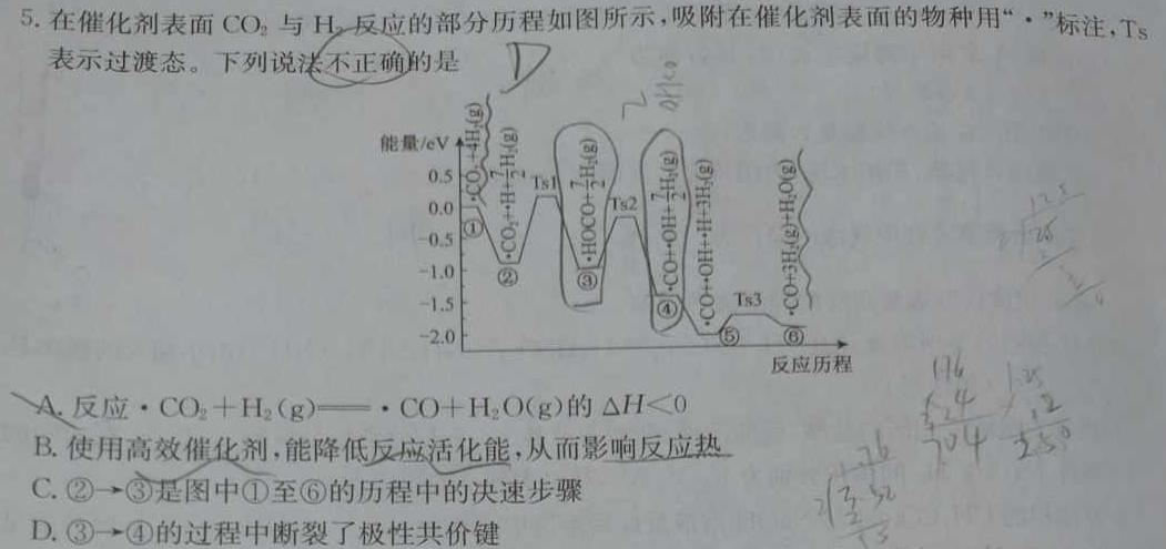 【热荐】铜川市2023-2024学年度高三第一次质量检测卷（24430C）化学
