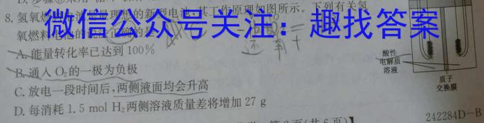 安徽省2023-2024八年级(无标题)(WJ)化学