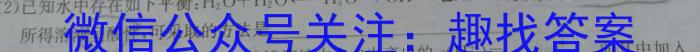 河南省2023-2024学年中原名校中考联盟测评(二)2数学