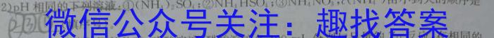 f河北省沧州市2024届九年级上学期期末考试化学