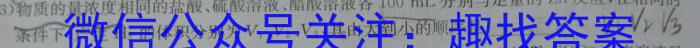 3安徽省亳州市2023-2024学年第一学期期末教学监测九年级化学试题