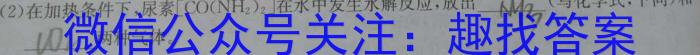 【精品】衡水金卷先享题月考卷2023-2024学年度下学期高二年级二调考试化学