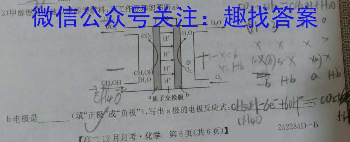 【精品】澄城县2024年初中学业水平模拟考试(一)化学