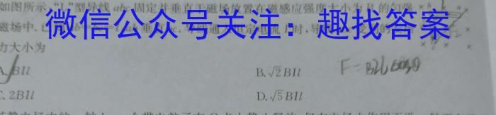 2024届普通高校招生全国统一考试仿真模拟·全国卷 BBY-F(六)6l物理