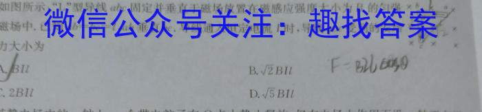 2024年陕西省初中学业水平考试全真模拟(二)2物理试卷答案