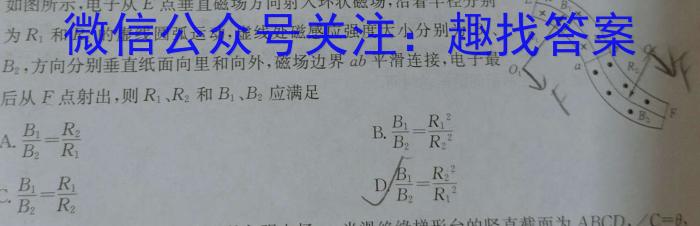 2024年湖南省普通高中学业水平合格性考试高二仿真试卷(专家版六)物理试题答案