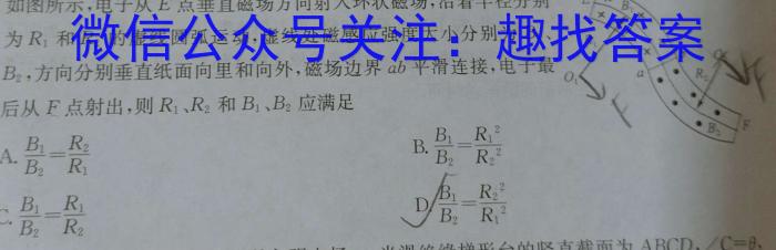 湖北省武汉市2024届高三年级五月模拟训练试题(2024.5.21)物理试卷答案