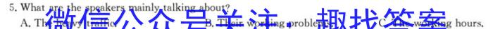 山西省2024年中考总复习专题训练 SHX(七)7英语