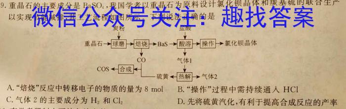 q2024年河南省初中学业水平考试全真模拟试卷(六)化学