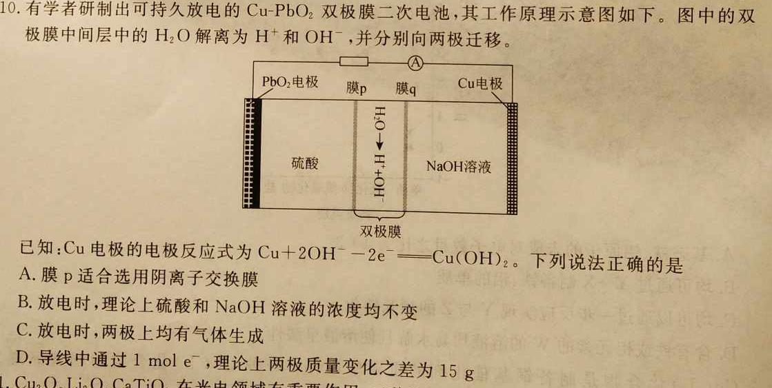 【热荐】陕西省2024届九年级阶段调研检测化学