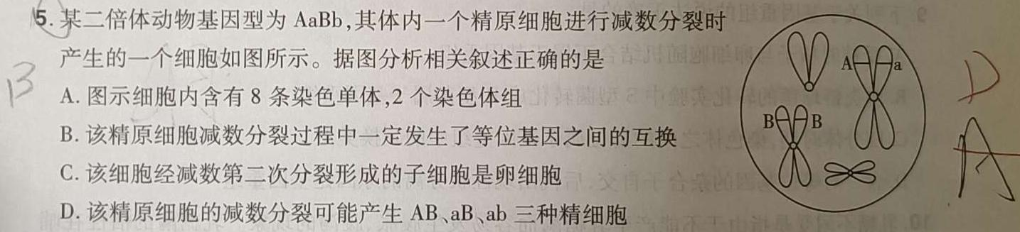 河北省邢台市第一中学2024年二轮复习质量检测生物