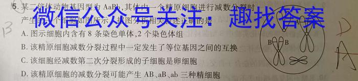 金科大联考·河南省2023-2024学年高二年级第二学期4月联考英语