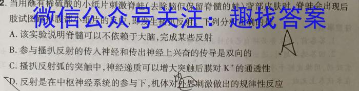 江西省2024年八年级《学业测评》分段训练（六）数学