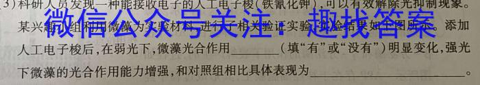 甘肃省2024届高三上学期2月开学考试数学