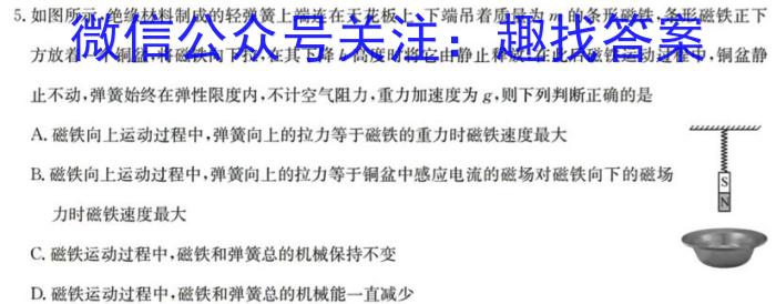 湖南省2024年4月A佳新中考联考试卷物理`