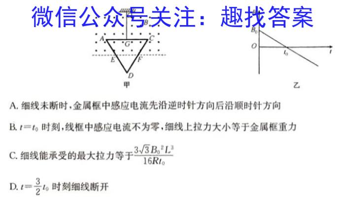 2024年秋季鄂东南省级示范高中教育教学改革联盟学校高二起点考试物理试卷答案