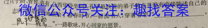 皖智教育 安徽第一卷·2024年安徽中考第一轮复习试卷(五)5/语文